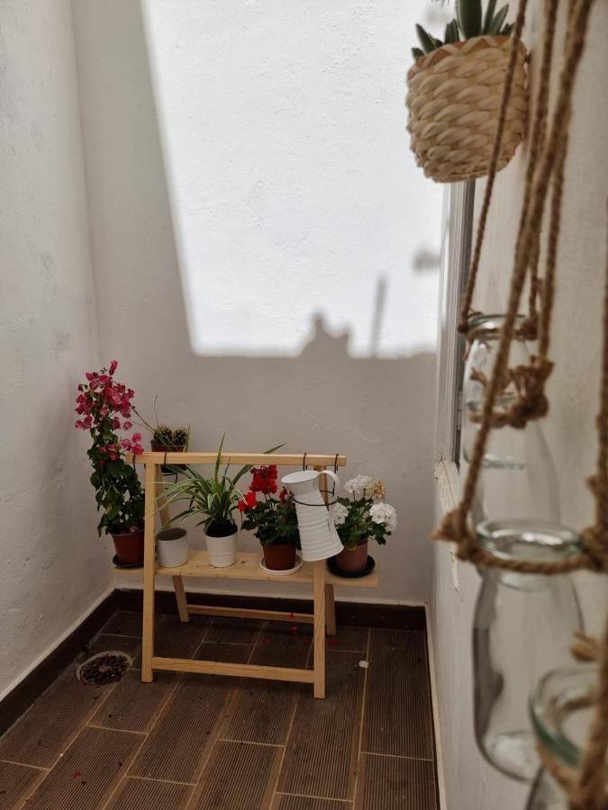 Dream Days Guesthouse Faro Exterior photo